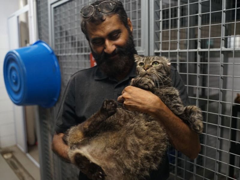 Singaporeans Save Animals 03