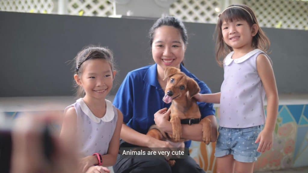 two girls volunteering at dog shelter