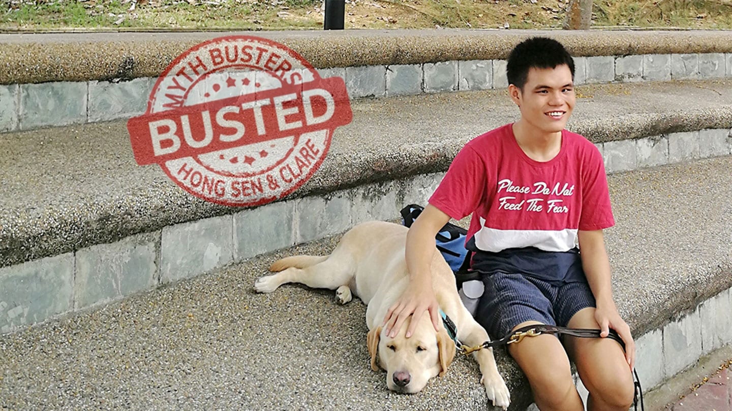 myth busters hong sen & clare visually impaired male with guide dog