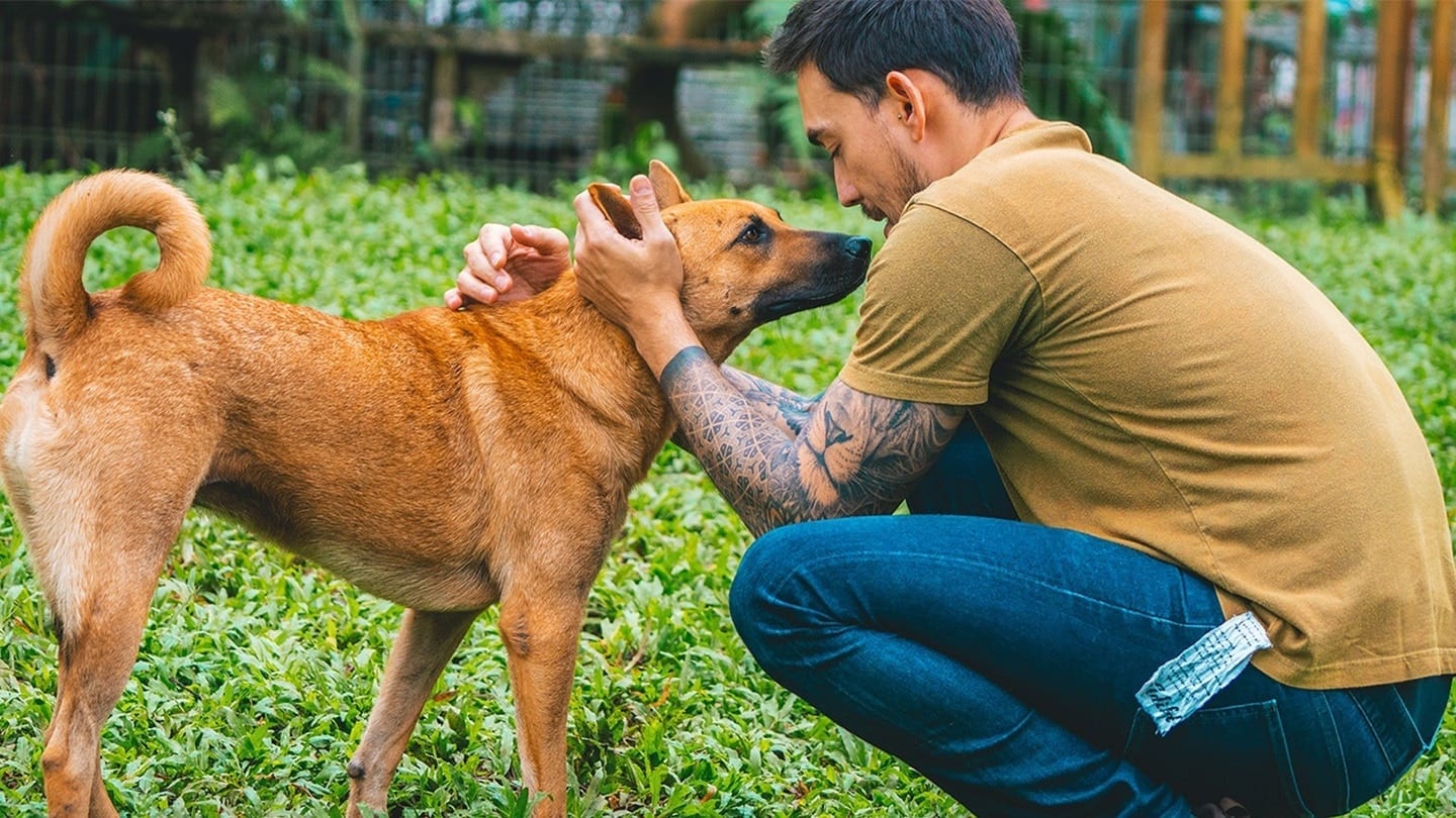 man with tattoos playing with dog