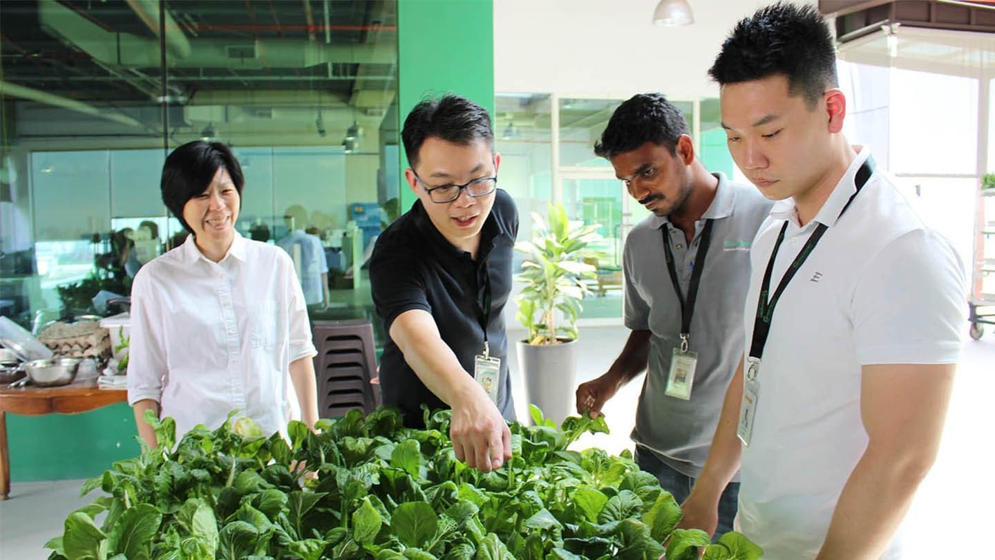 man in black shirt inspecting plants