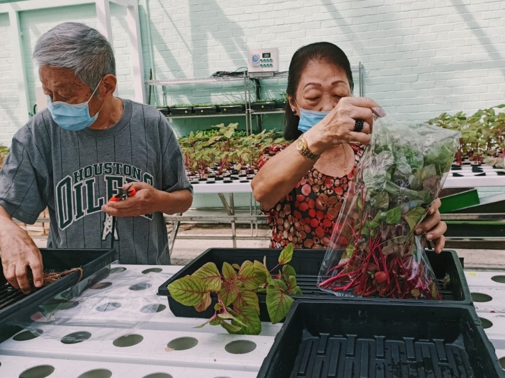 Aquaponics