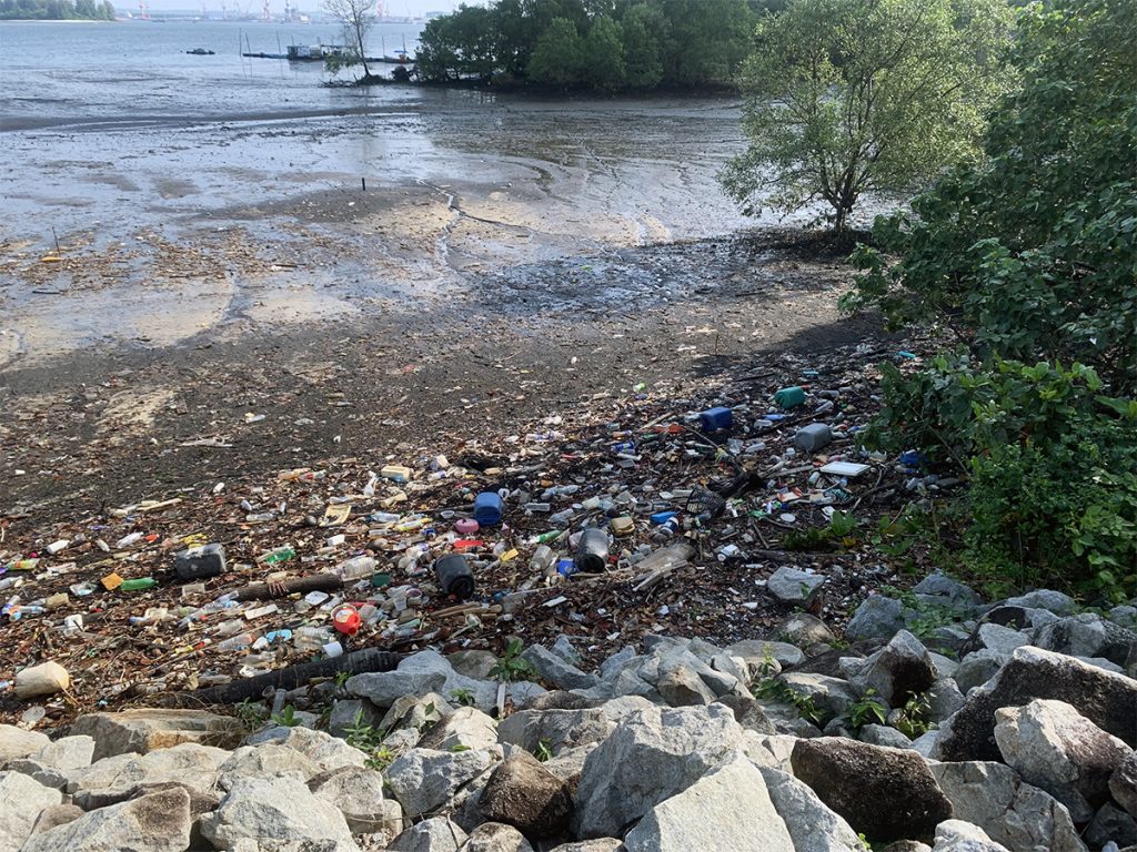 plastic waste littered across Yishun Dam