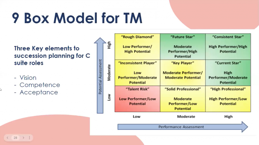 9 Box Model for succession planning