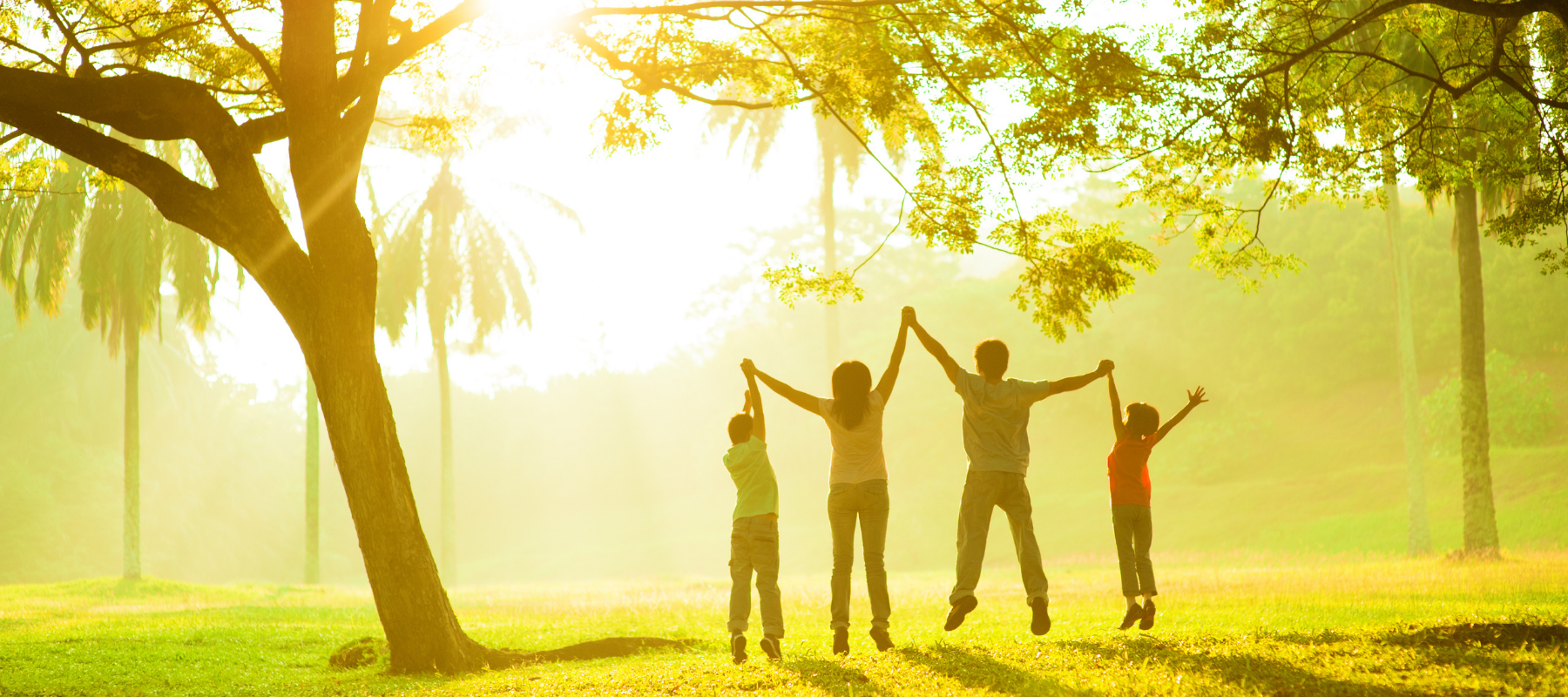 family march holidayy feature image 1800 × 800