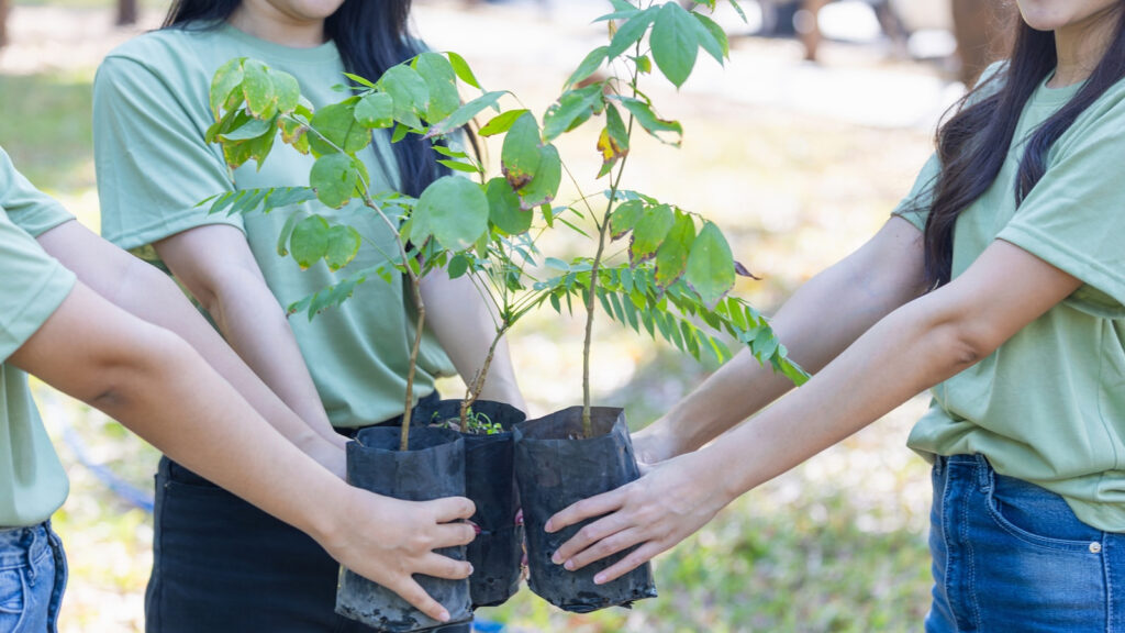volunteers planting tree saplings