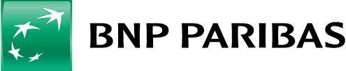 bnp logo
