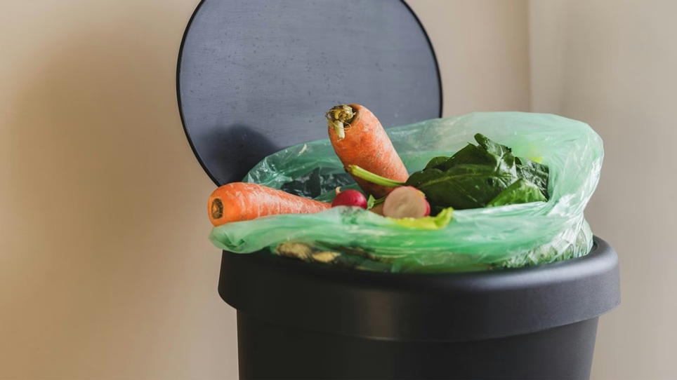 food waste in a bin