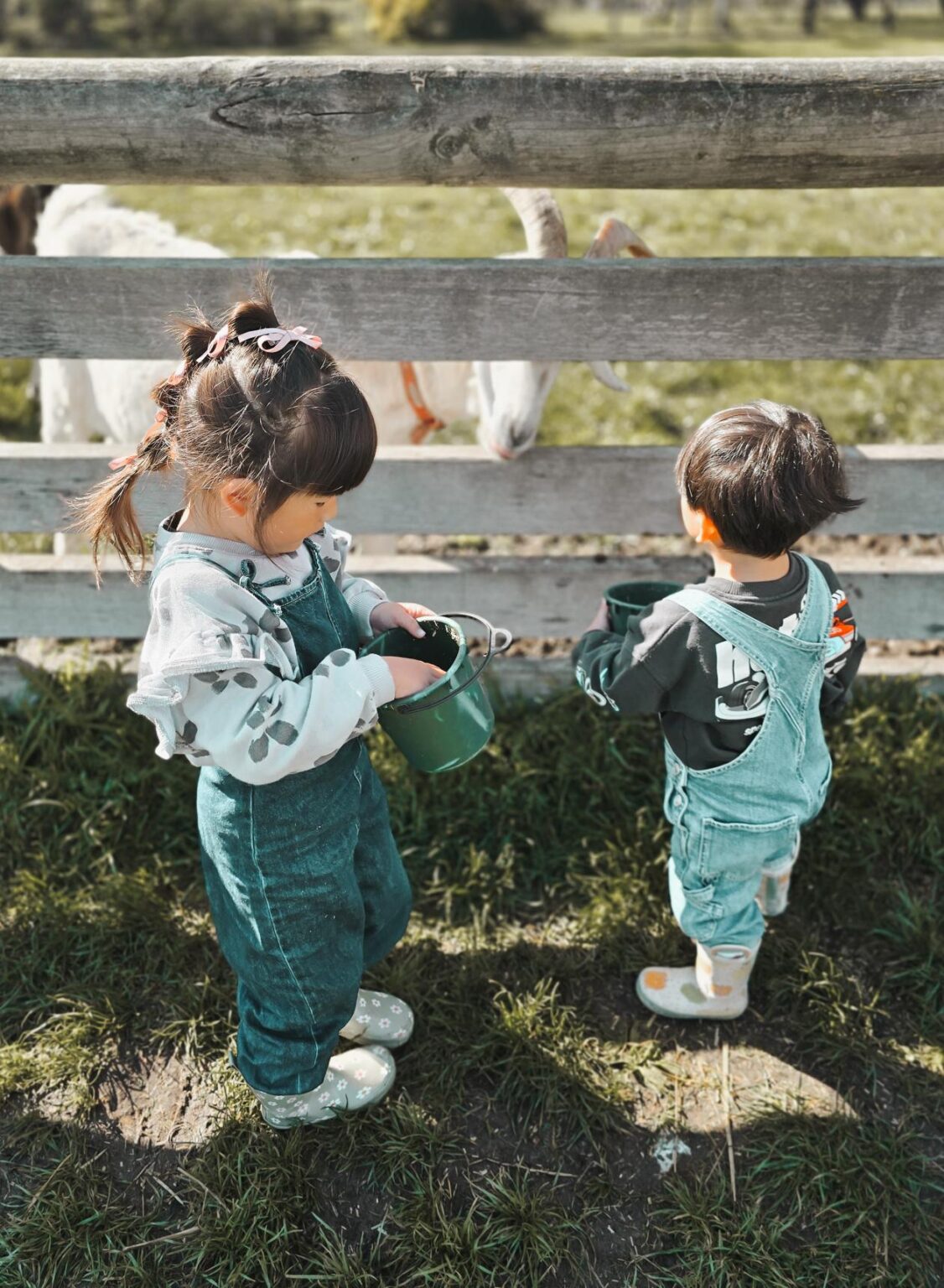 kids feeding bucket 1126x1536 1
