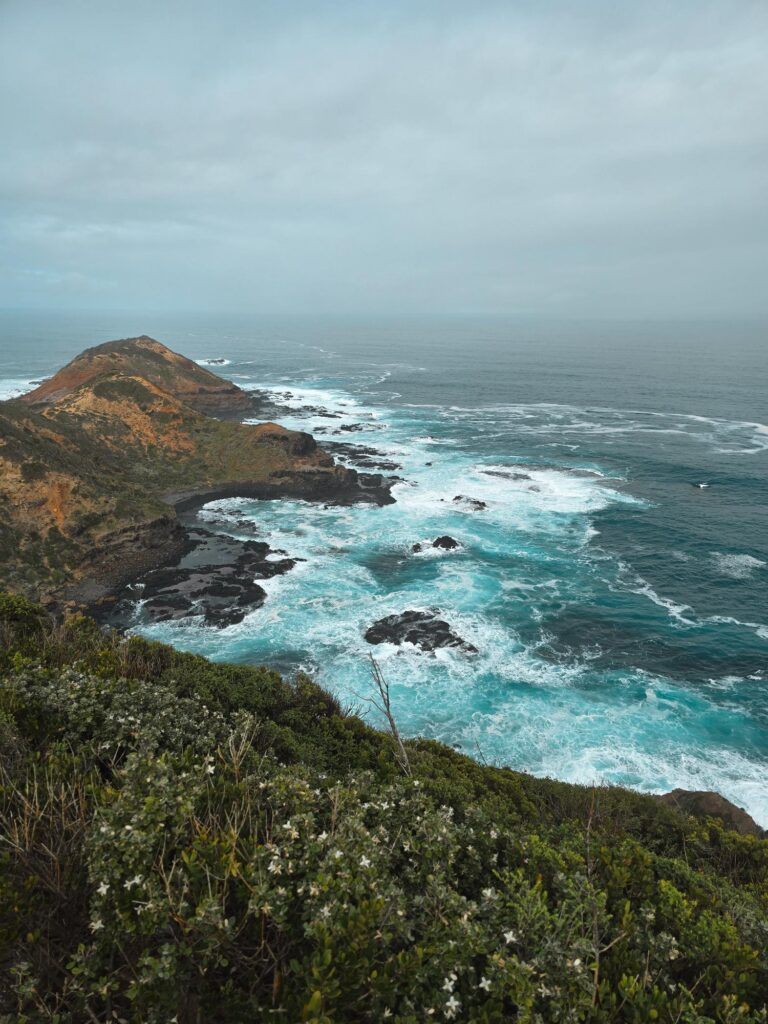 scenery 768x1024 1