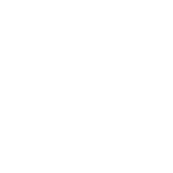 team leader