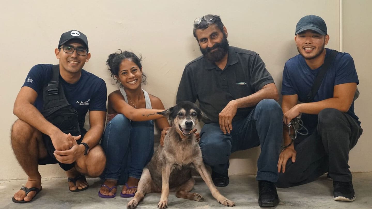 Singaporeans Save Animals 01