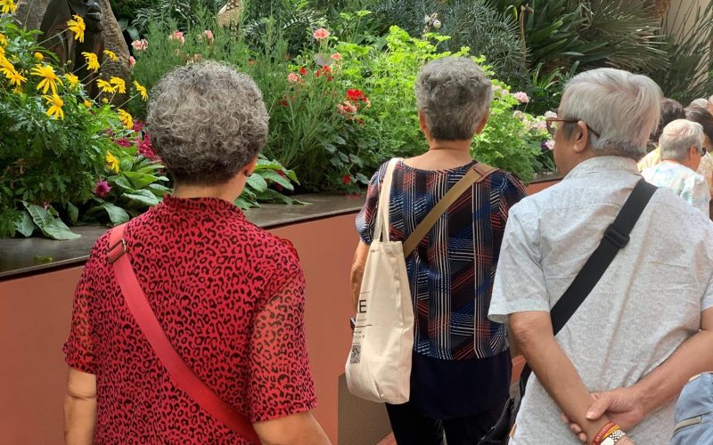A group of seniors exploring Gardens by the Bay